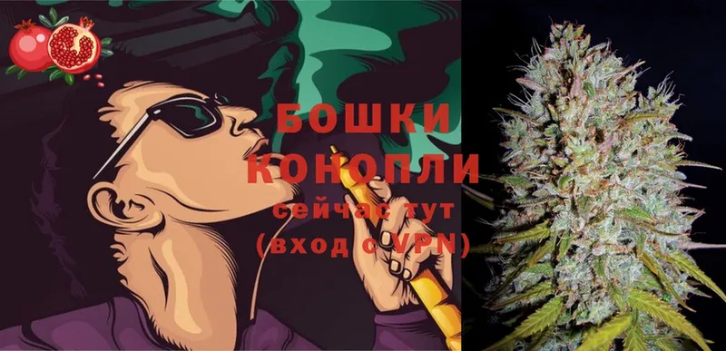 МАРИХУАНА Ganja  хочу наркоту  Зубцов 